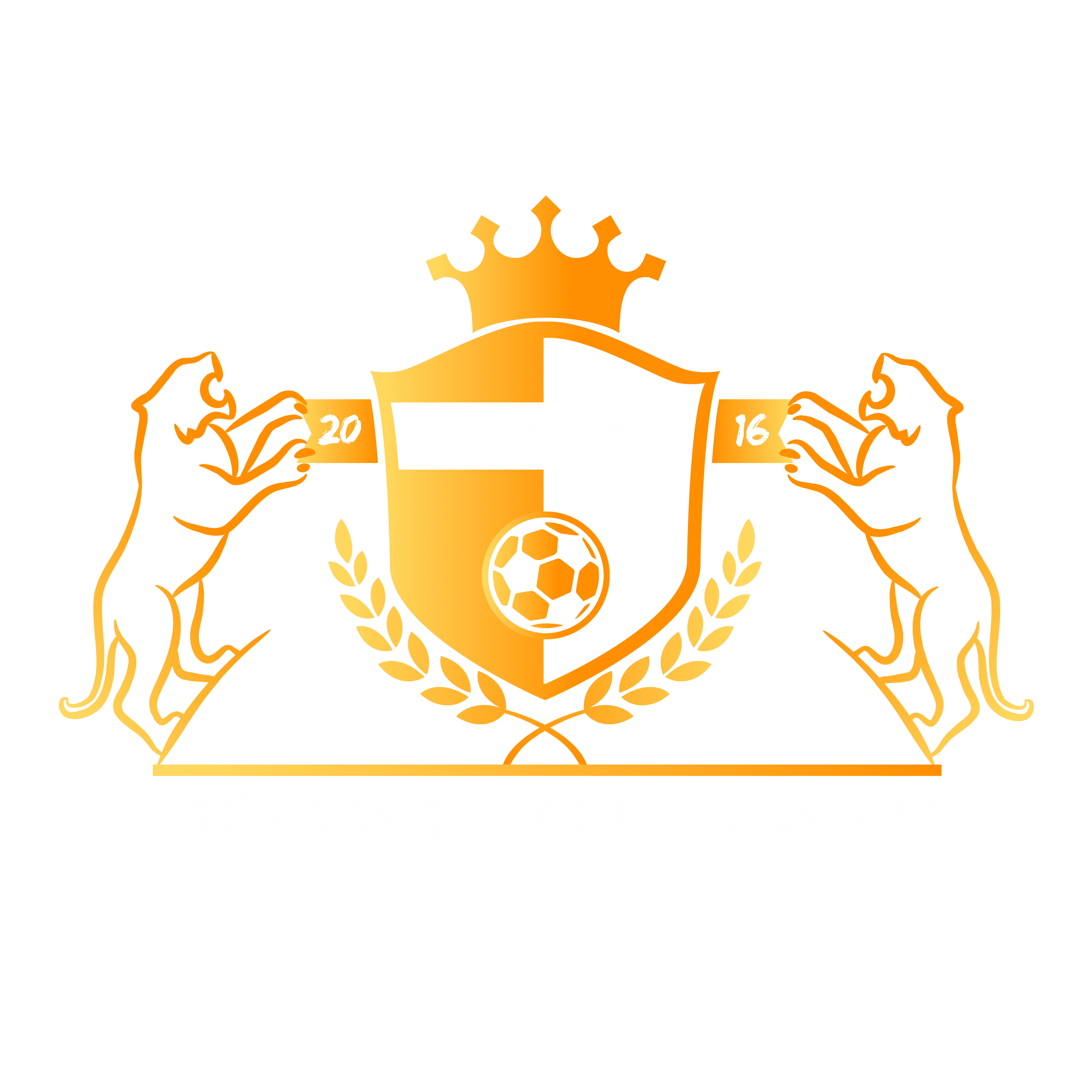 COMPETITIVE TEAMS Little Tigers Football Academy